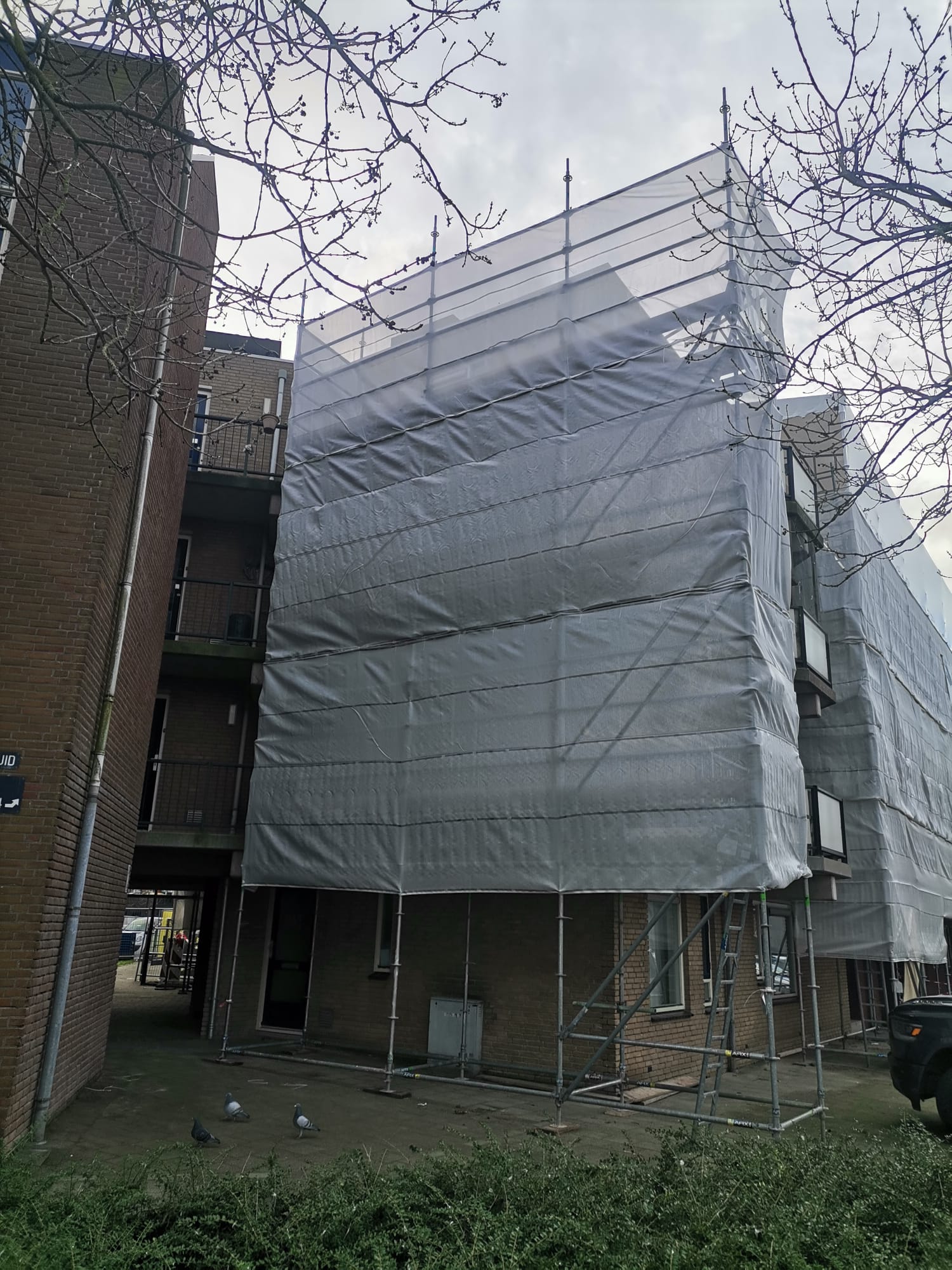 Afbeelding van WhatsApp op 2025-05-27 om 10.57.10_d700a34c